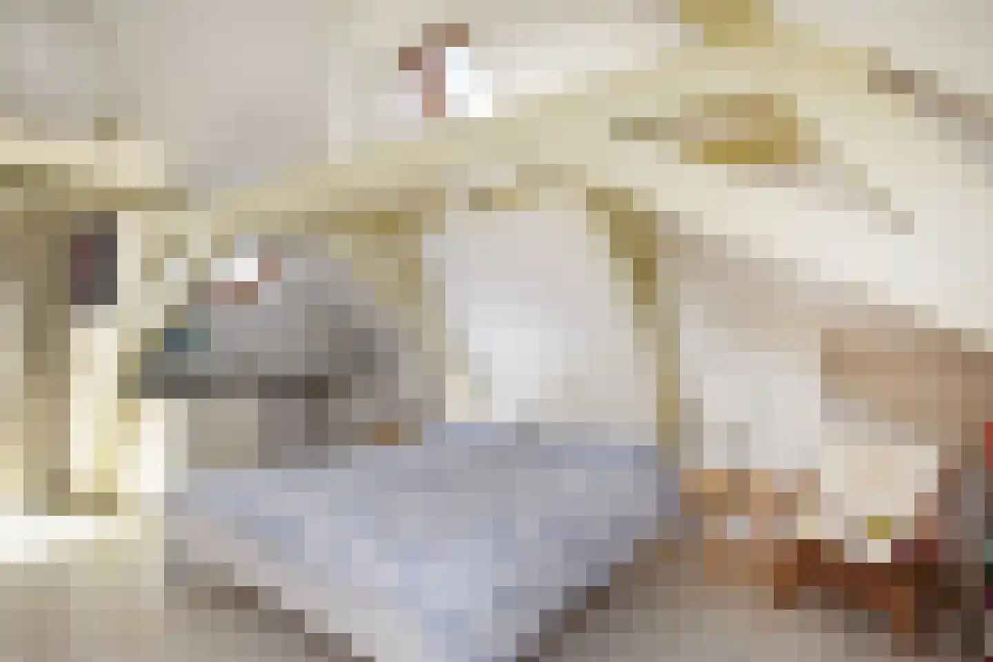 Geest 32 Den Haag thumbnail 33