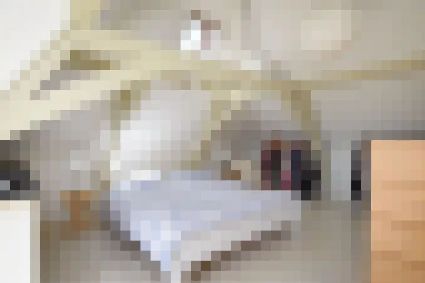 Geest 32 Den Haag thumbnail 35