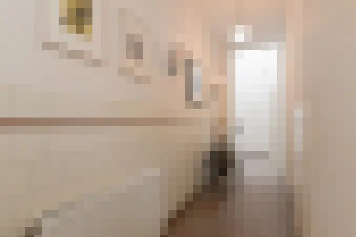 Geest 32 Den Haag thumbnail 8