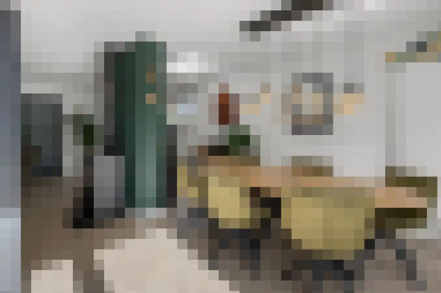 Geestakker 35 Heiloo thumbnail 14