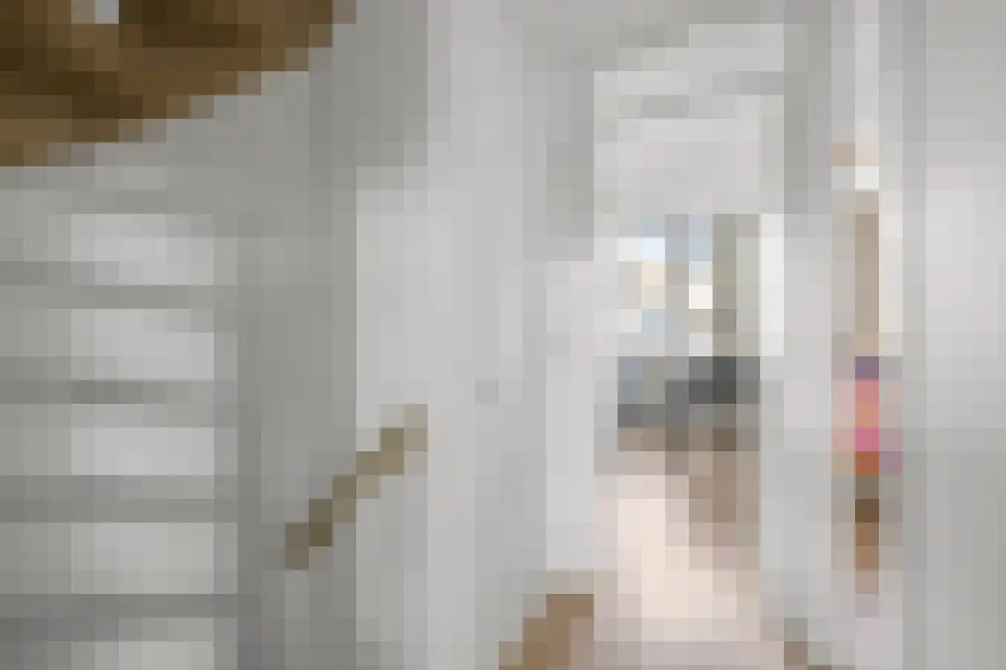 Geestakker 35 Heiloo thumbnail 29