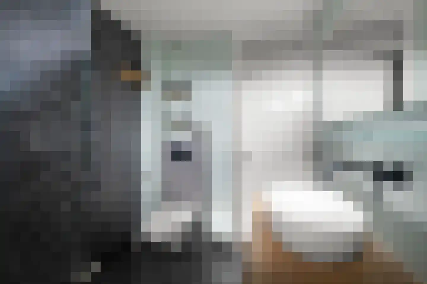 Geestakker 35 Heiloo thumbnail 32