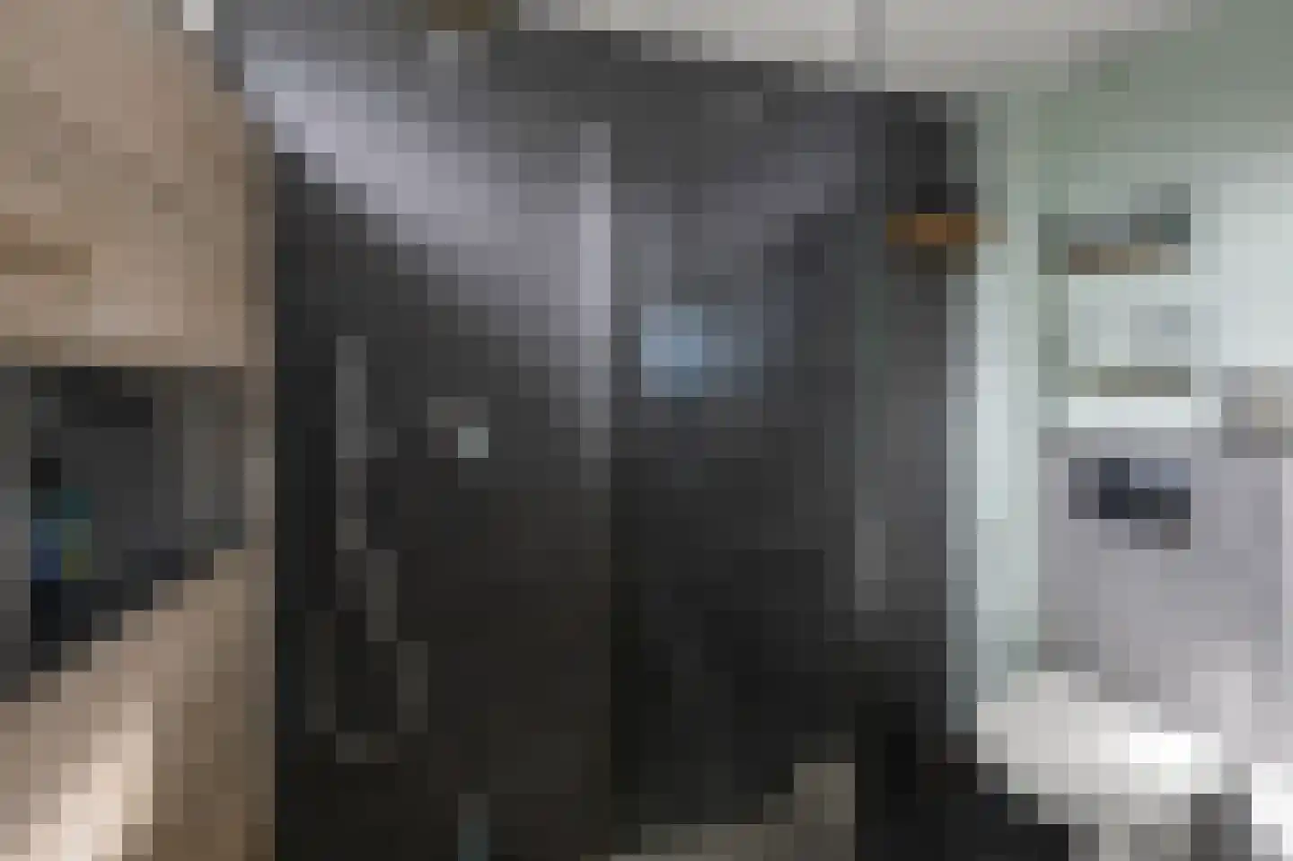 Geestakker 35 Heiloo thumbnail 33