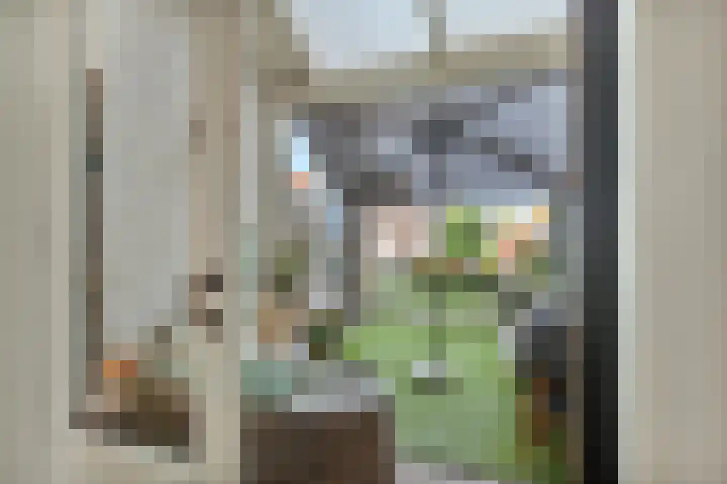 Geestbrugkade 24 Rijswijk thumbnail 18