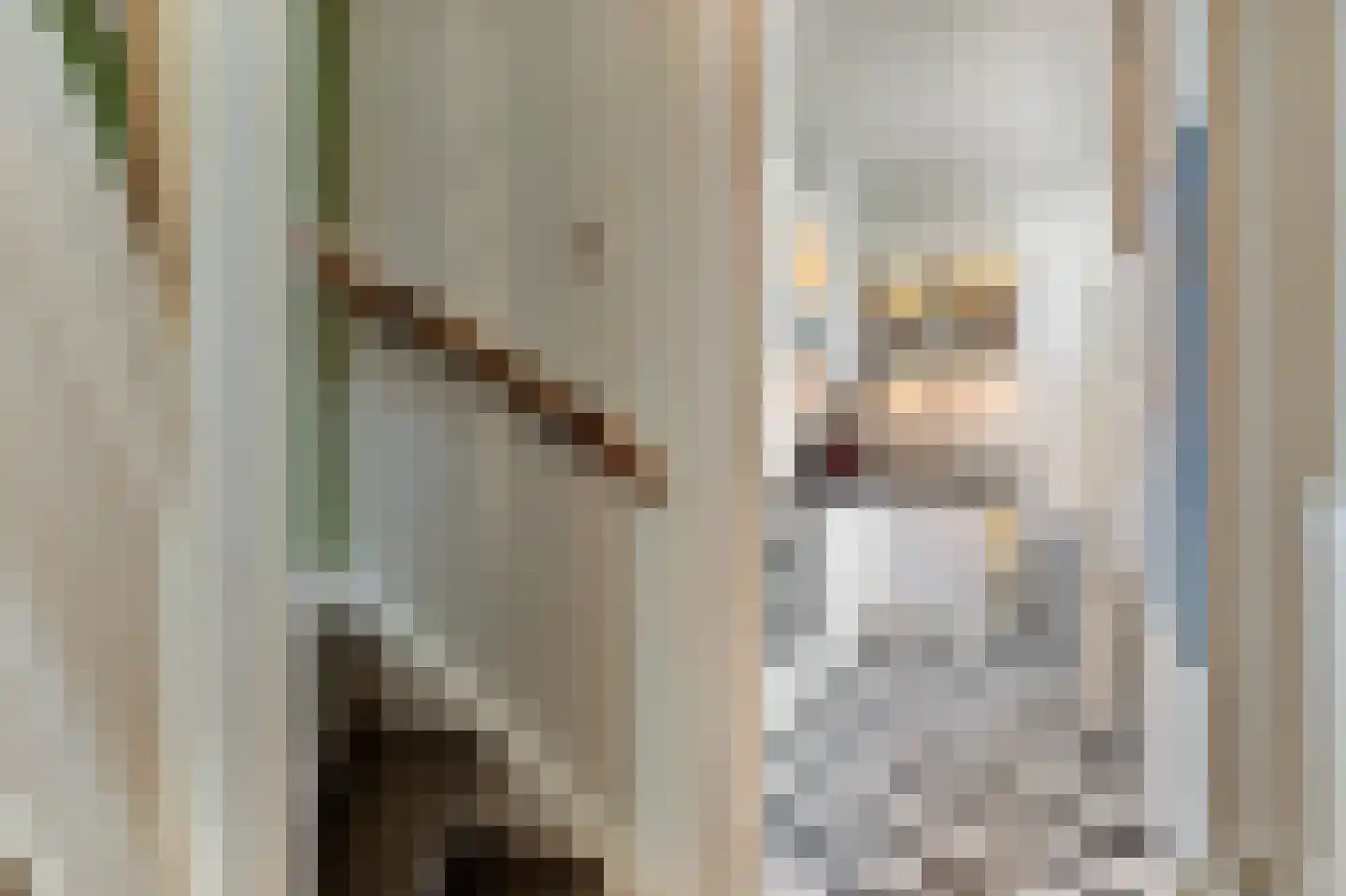 Geestbrugkade 24 Rijswijk thumbnail 22