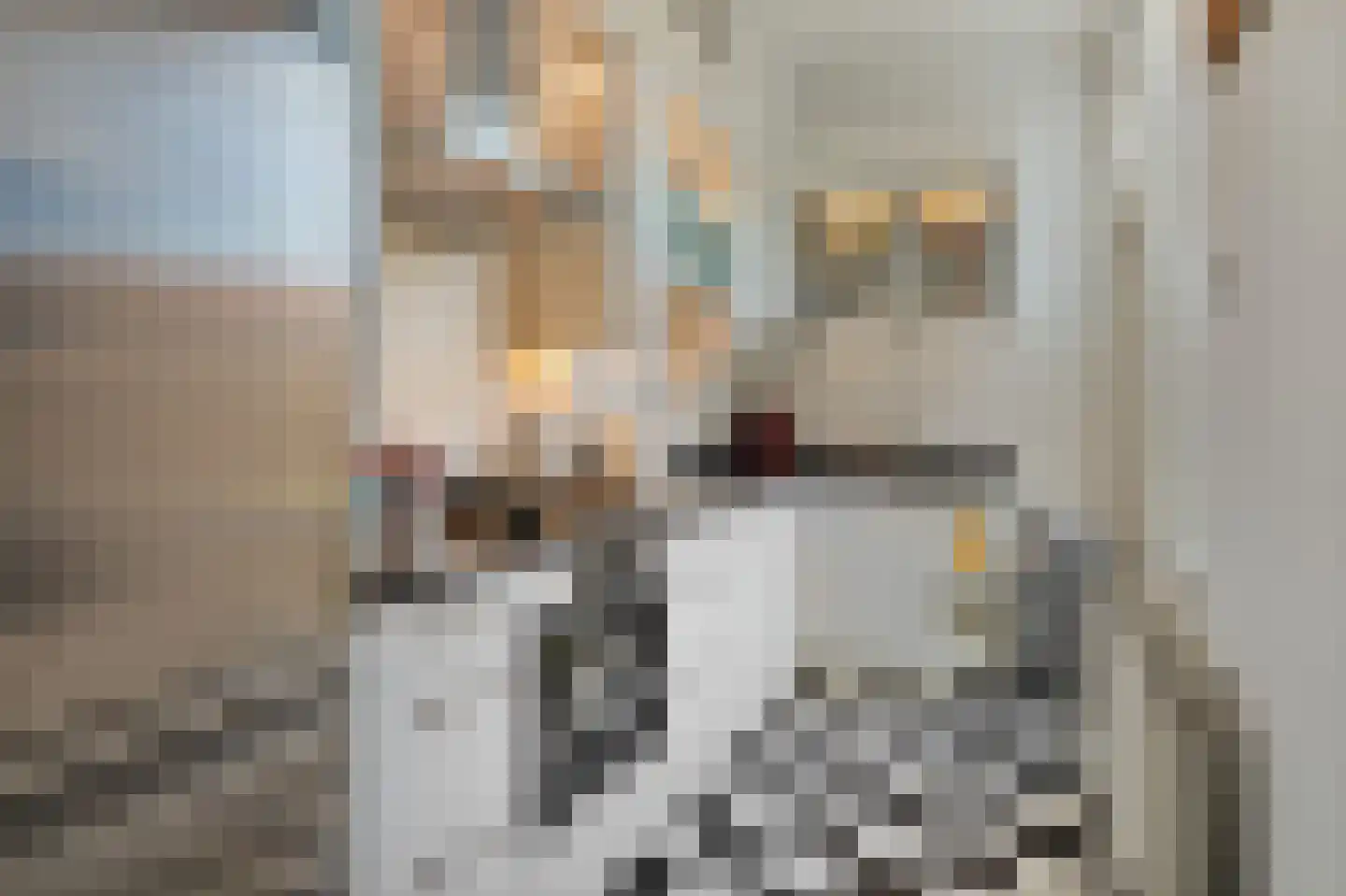 Geestbrugkade 24 Rijswijk thumbnail 23