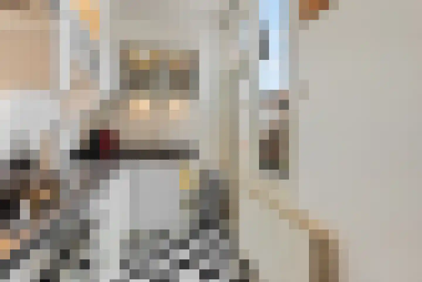 Geestbrugkade 24 Rijswijk thumbnail 26
