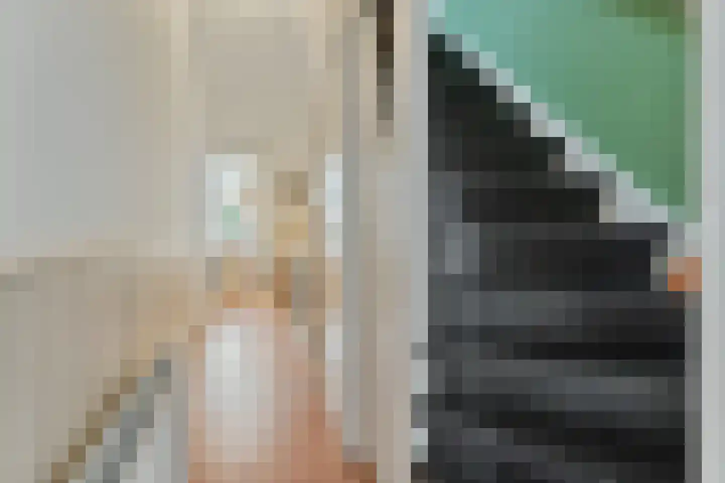 Geestbrugkade 24 Rijswijk thumbnail 28