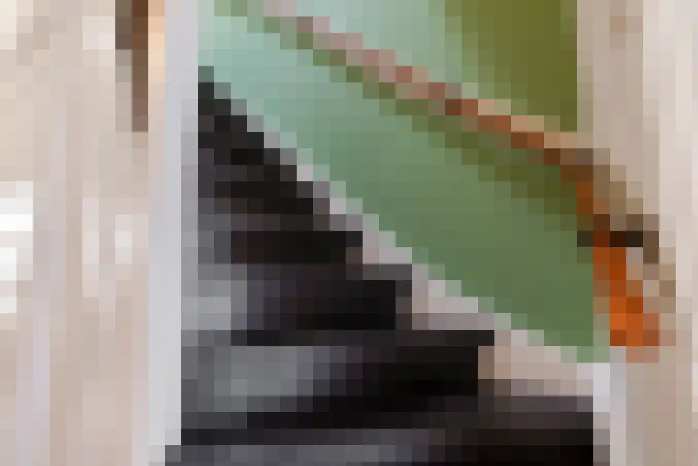 Geestbrugkade 24 Rijswijk thumbnail 29