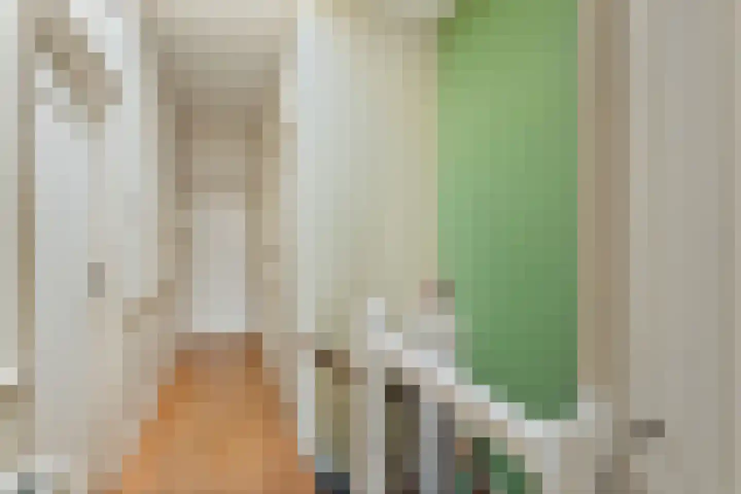 Geestbrugkade 24 Rijswijk thumbnail 30