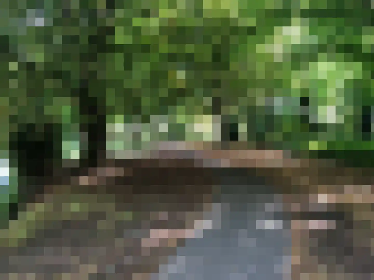 Geestbrugkade 24 Rijswijk thumbnail 57