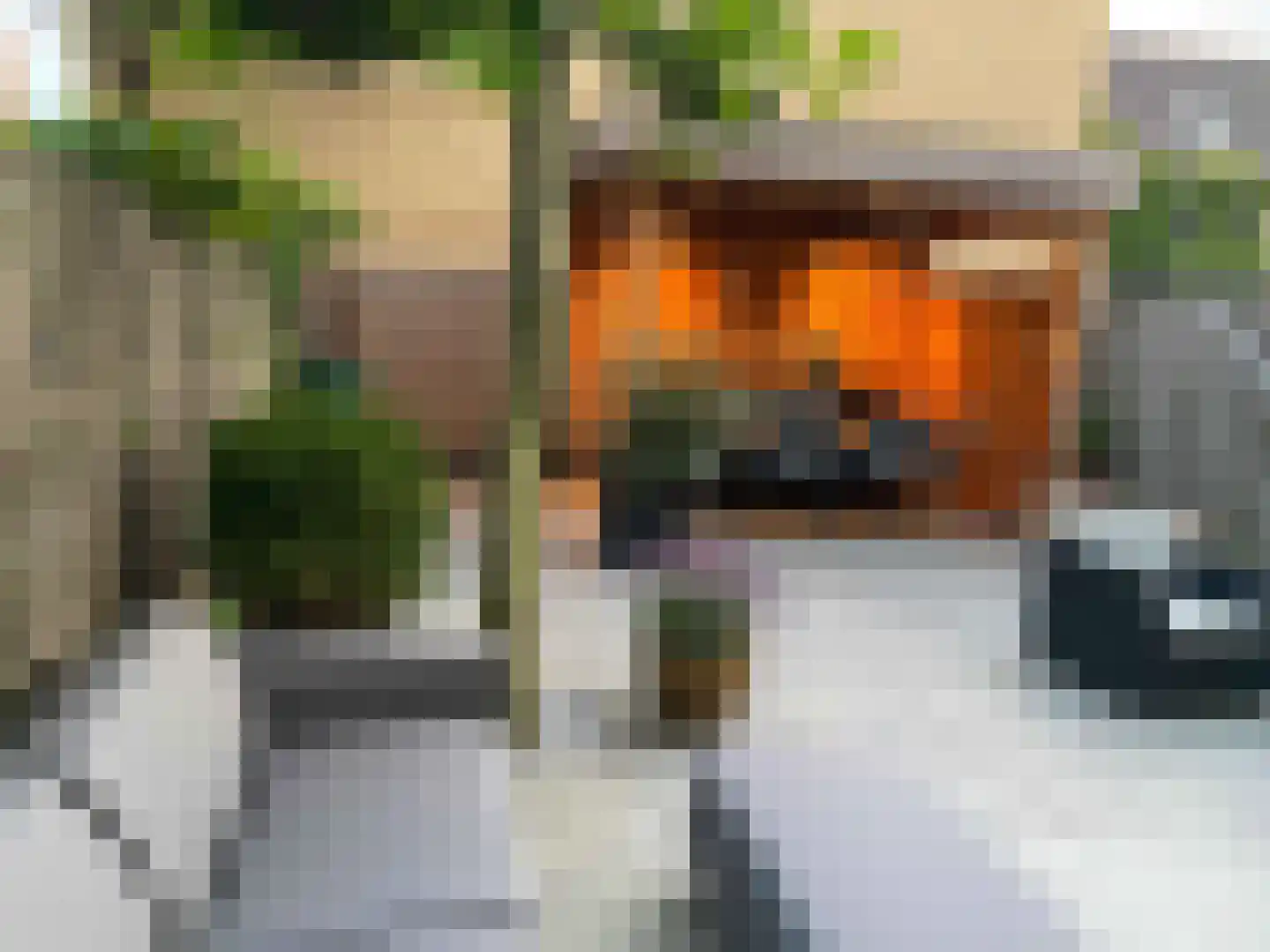 Geestbrugkade 30 b Rijswijk thumbnail 13
