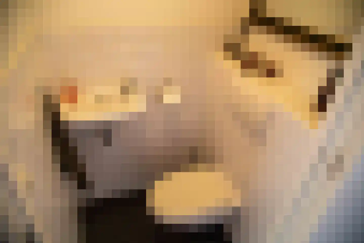 Geestbrugkade 30 b Rijswijk thumbnail 15