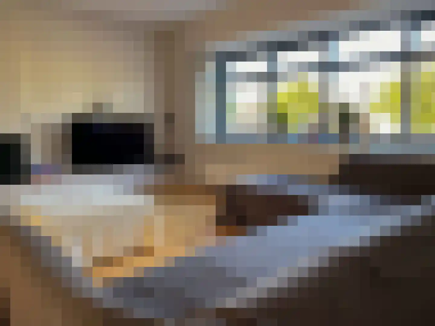 Geestbrugkade 30 b Rijswijk thumbnail 18