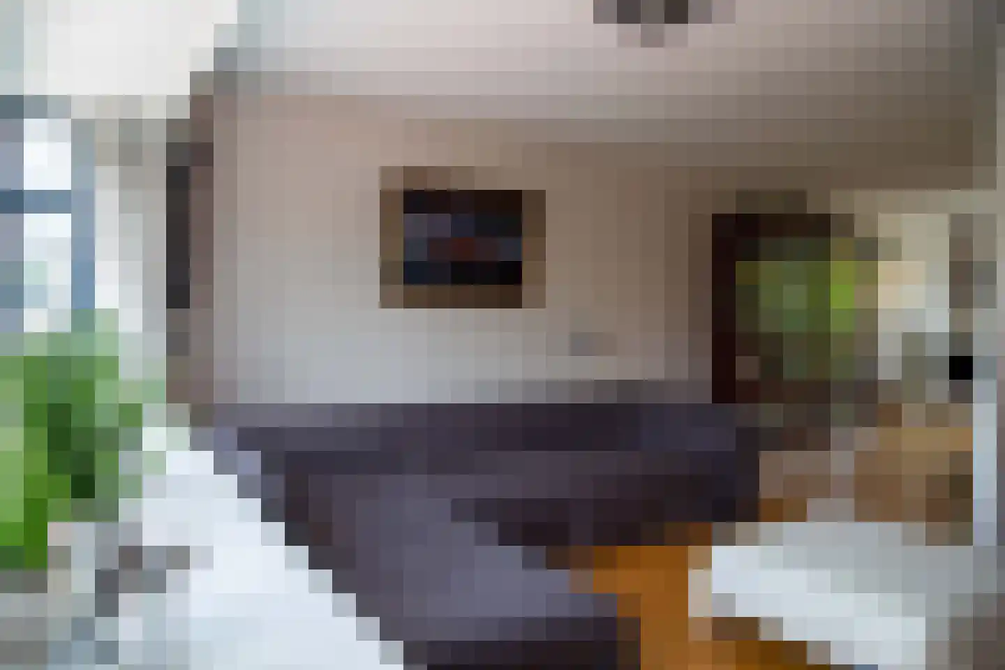 Geestbrugkade 30 b Rijswijk thumbnail 22