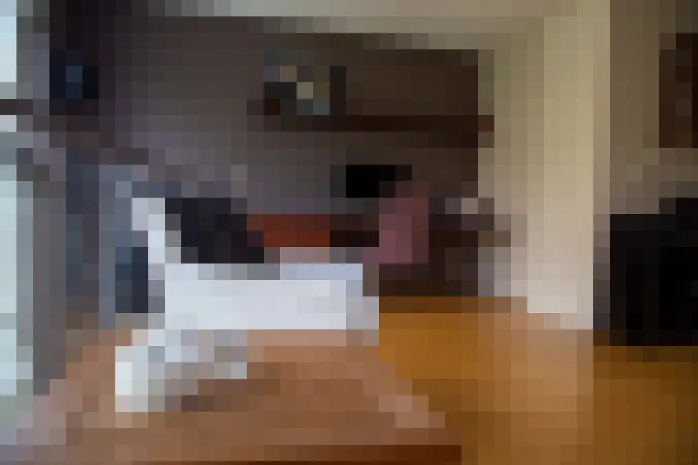 Geestbrugkade 30 b Rijswijk thumbnail 25
