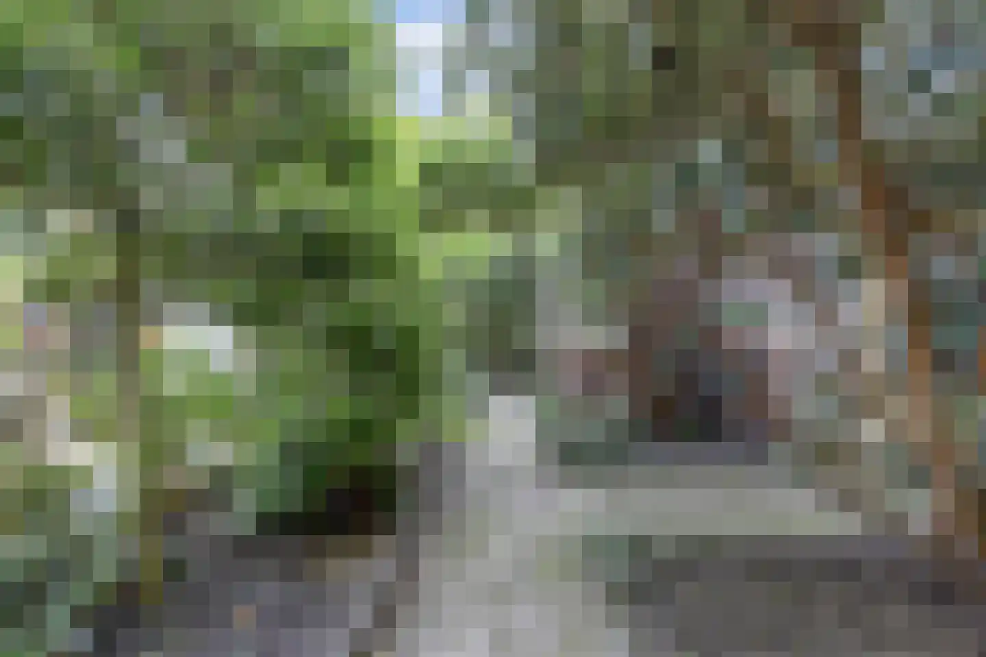Geestbrugweg 16 Rijswijk thumbnail 17
