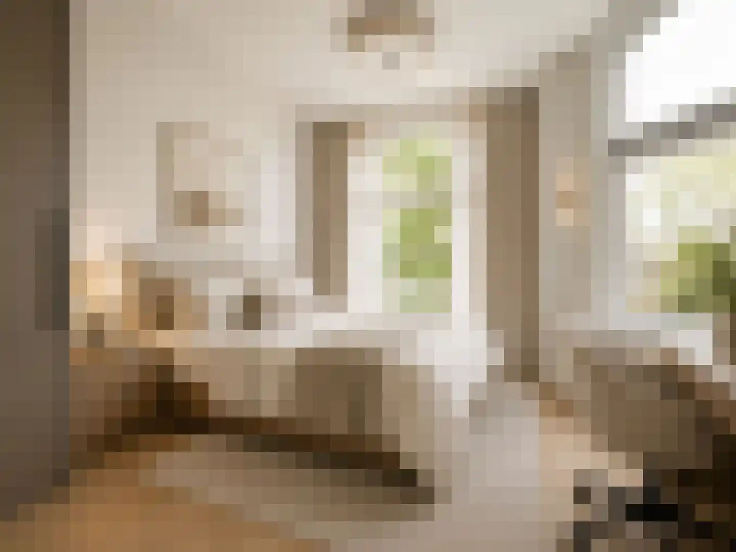 Geestbrugweg 16 Rijswijk thumbnail 30