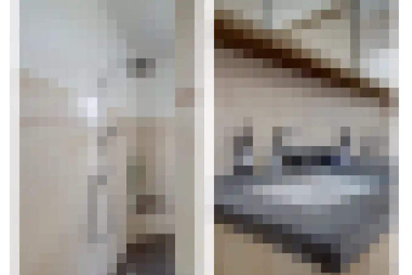 Geestbrugweg 16 Rijswijk thumbnail 34