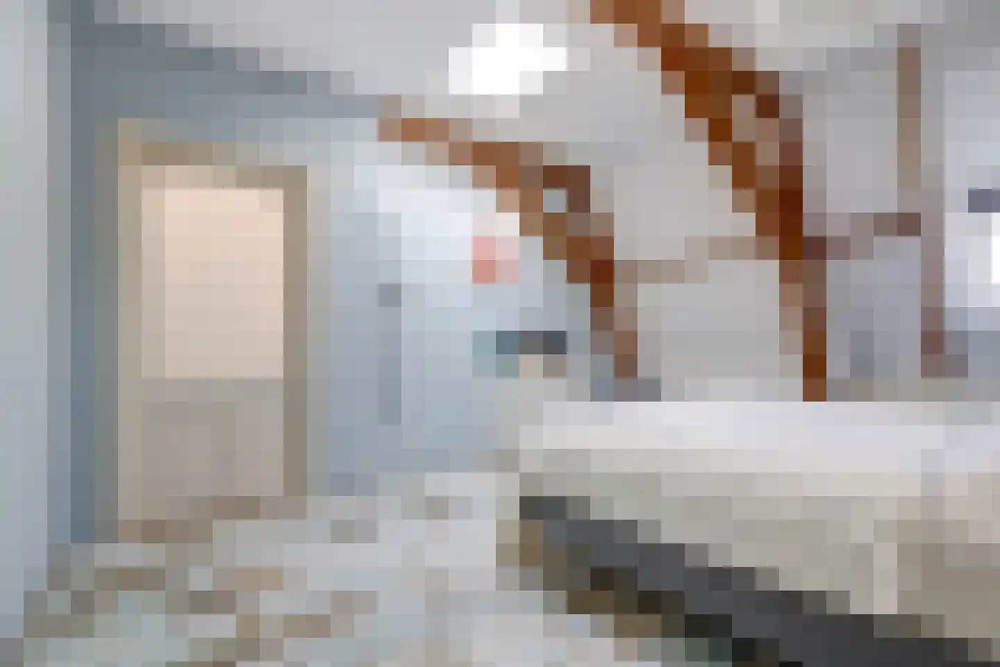 Geestbrugweg 16 Rijswijk thumbnail 52