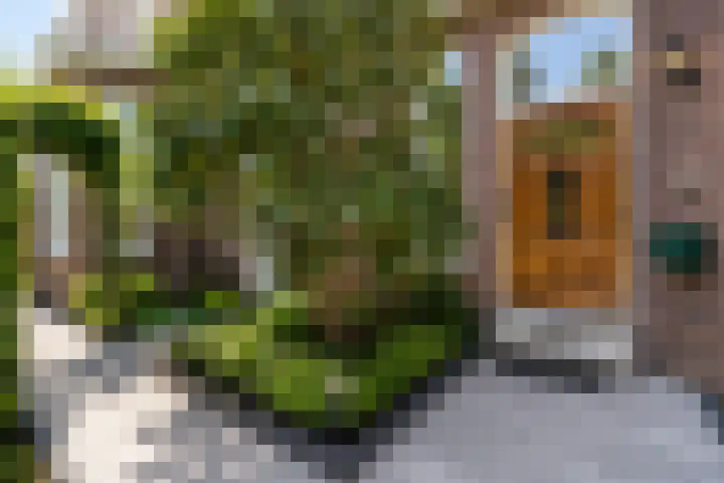 Geestbrugweg 16 Rijswijk thumbnail 6
