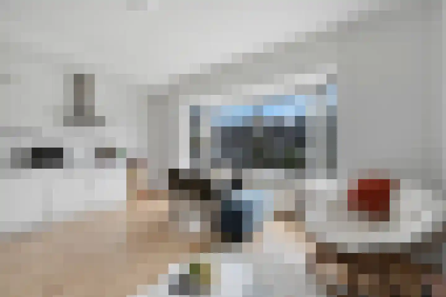 Geestbrugweg 19 b Rijswijk thumbnail 8