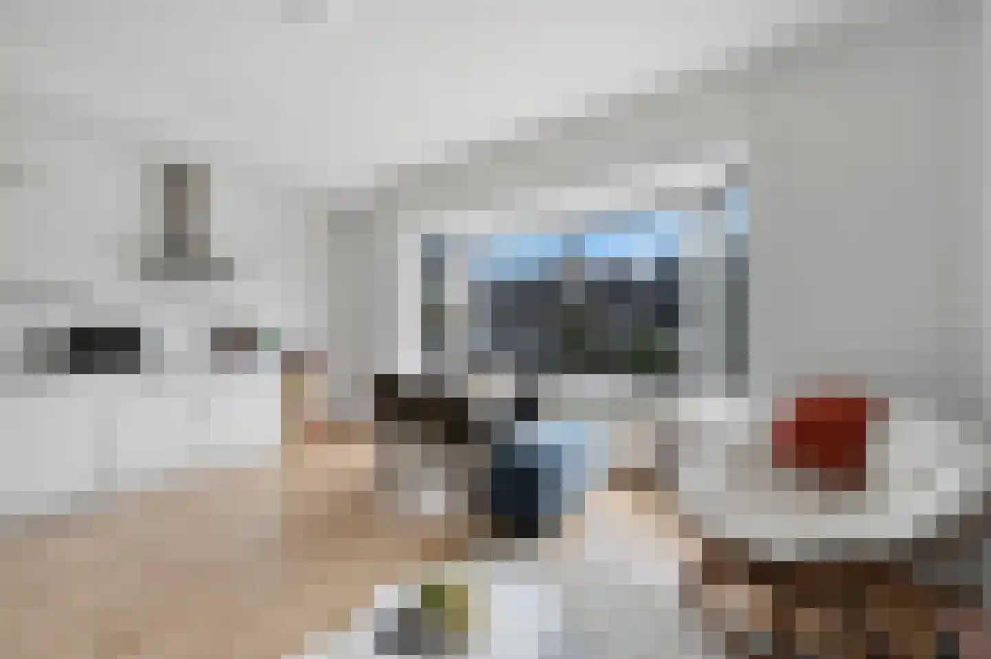 Geestbrugweg 19 b Rijswijk thumbnail 8