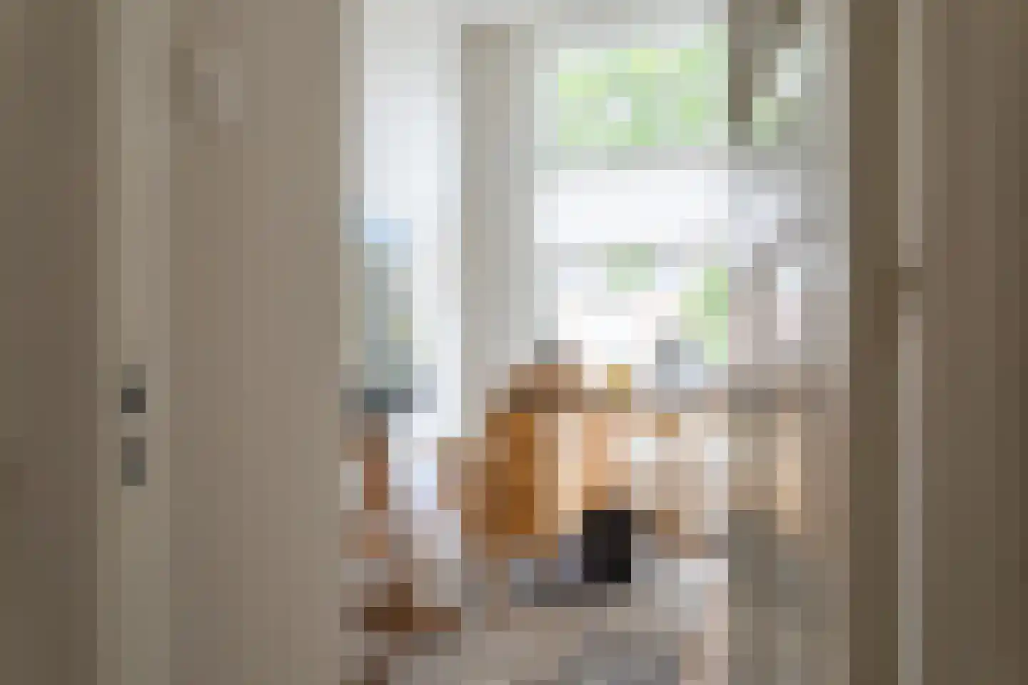 Geestbrugweg 20 Rijswijk thumbnail 34