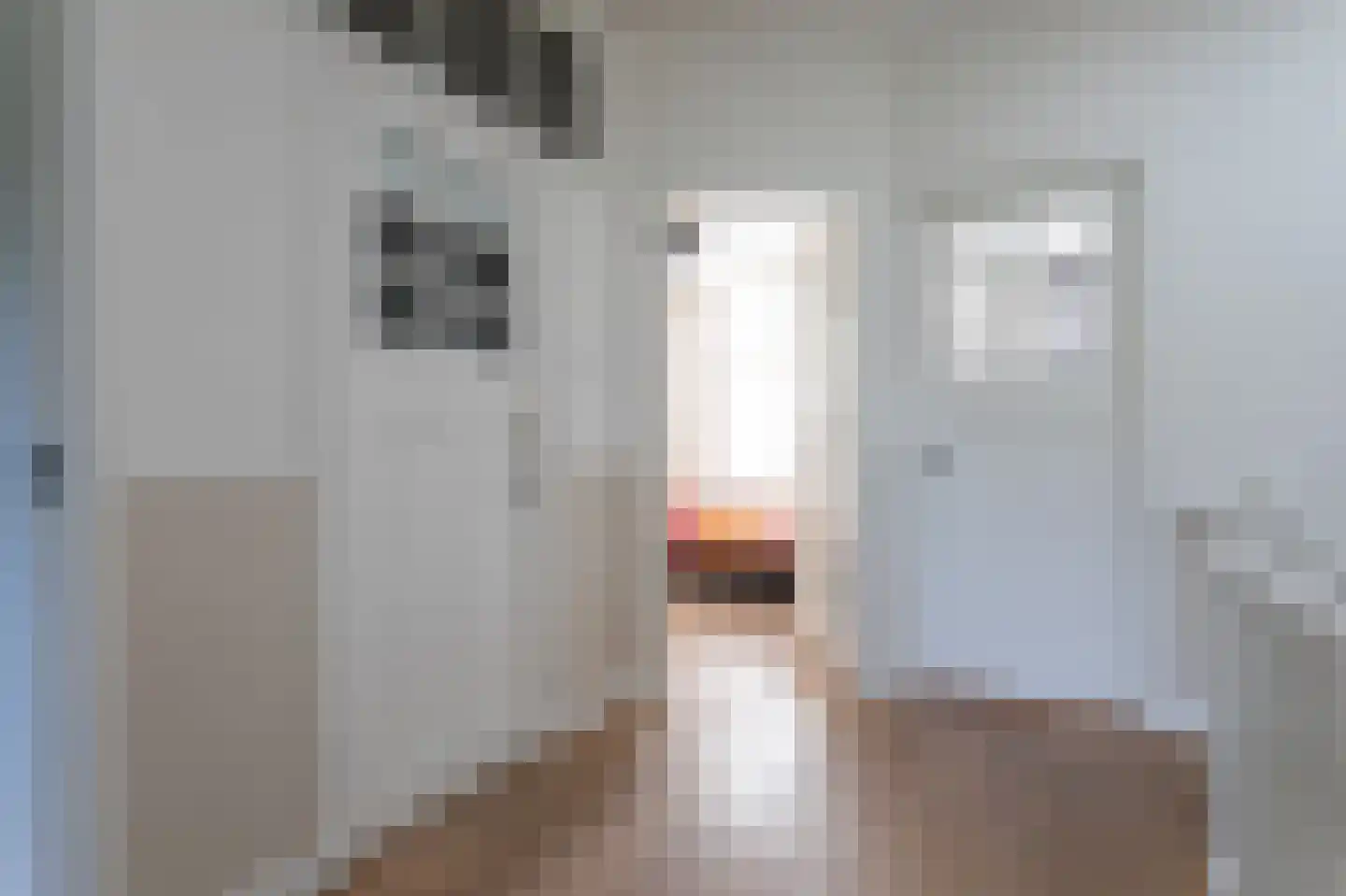 Geestbrugweg 20 Rijswijk thumbnail 51