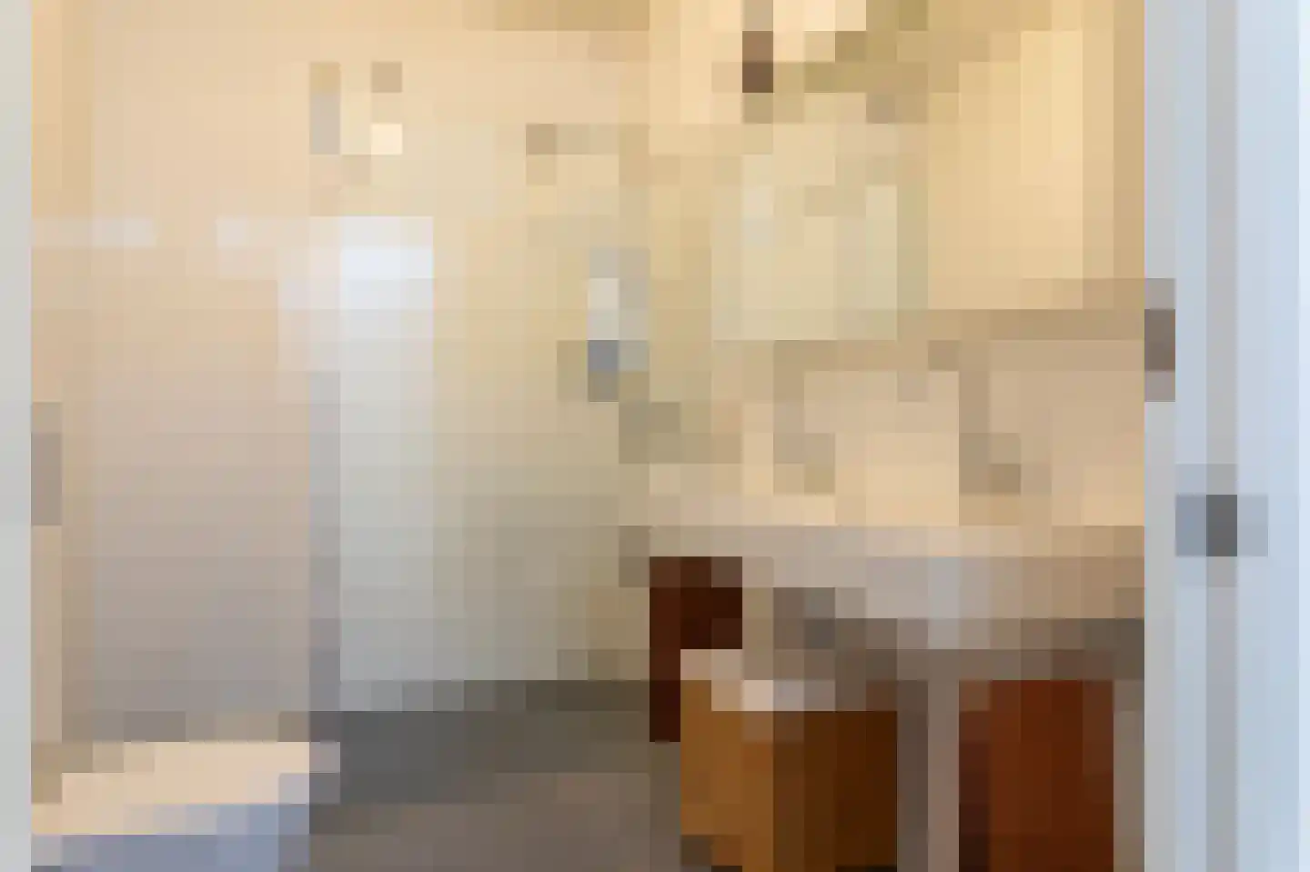 Geestbrugweg 20 Rijswijk thumbnail 58
