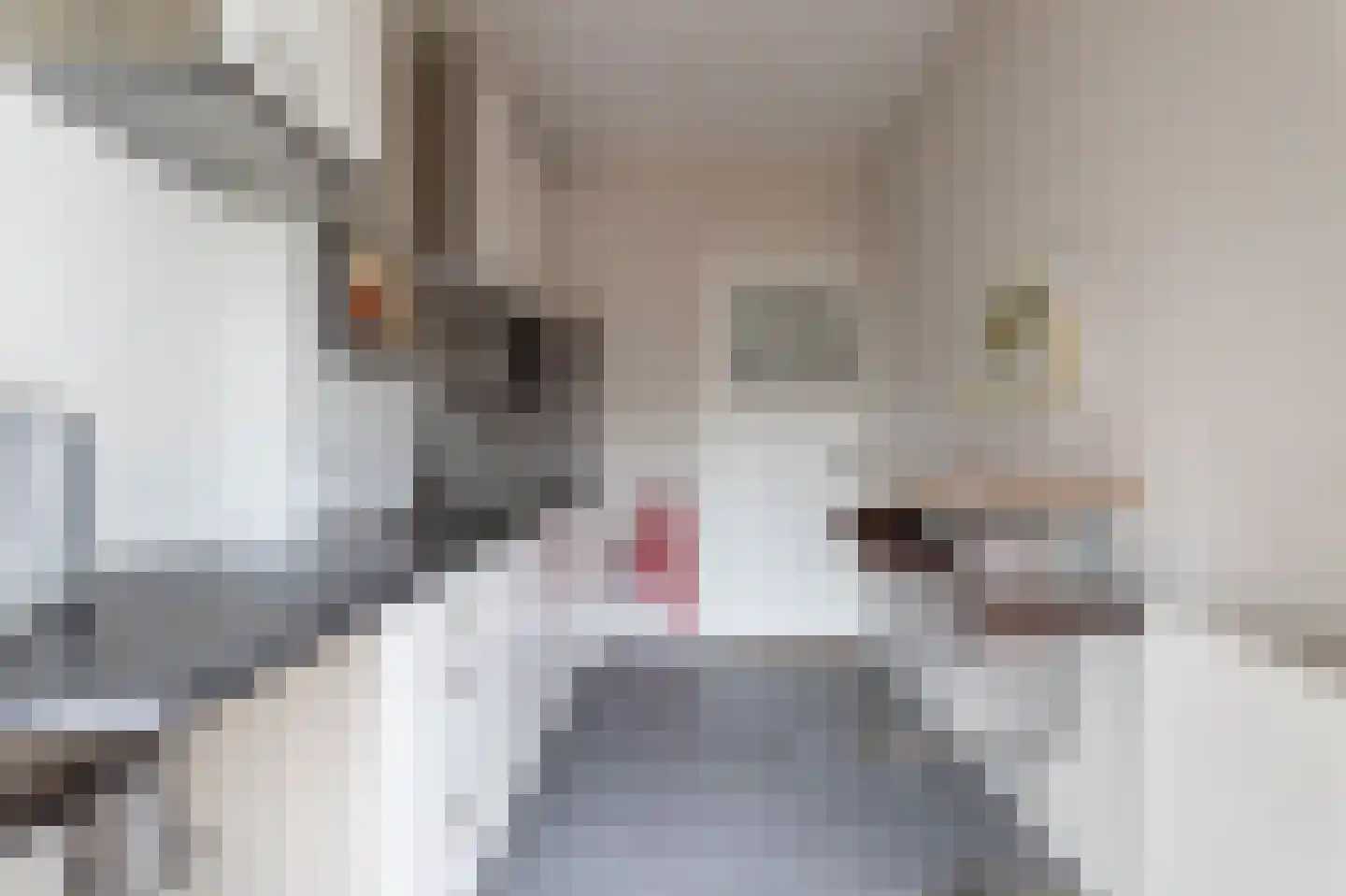 Geestbrugweg 20 Rijswijk thumbnail 63