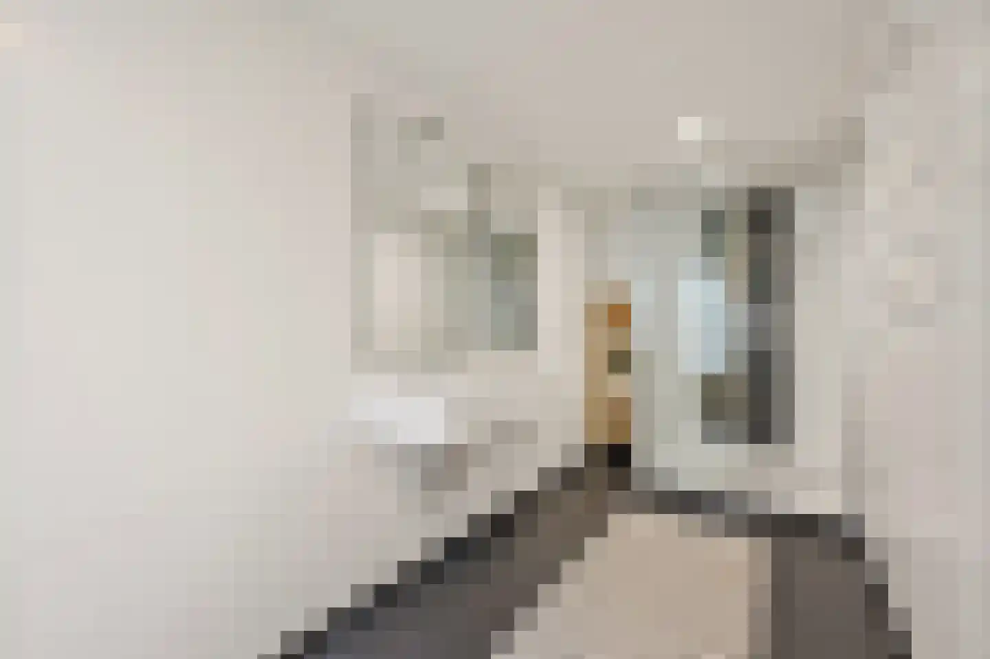 Geestbrugweg 26 Rijswijk thumbnail 55