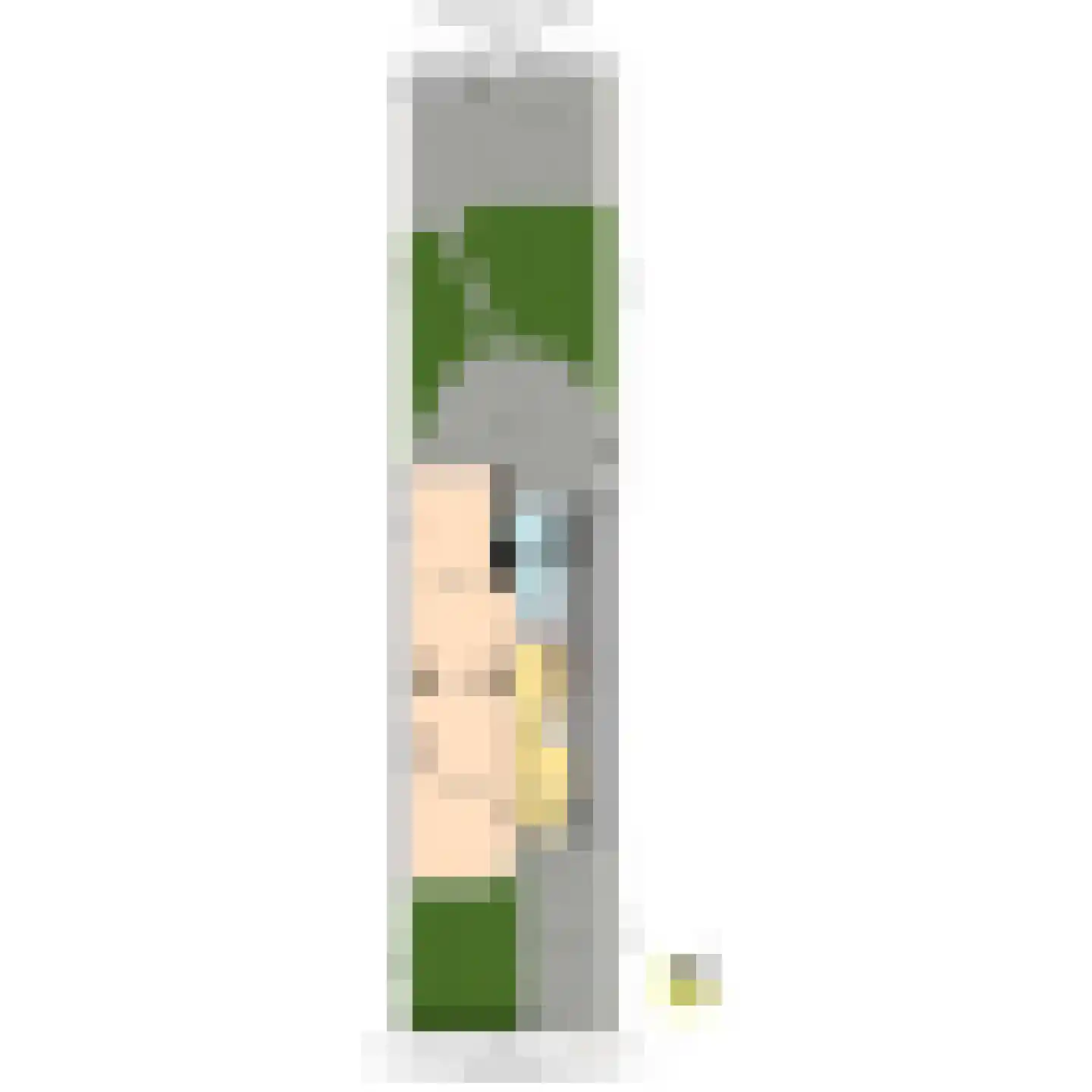 Geestbrugweg 26 Rijswijk thumbnail 73
