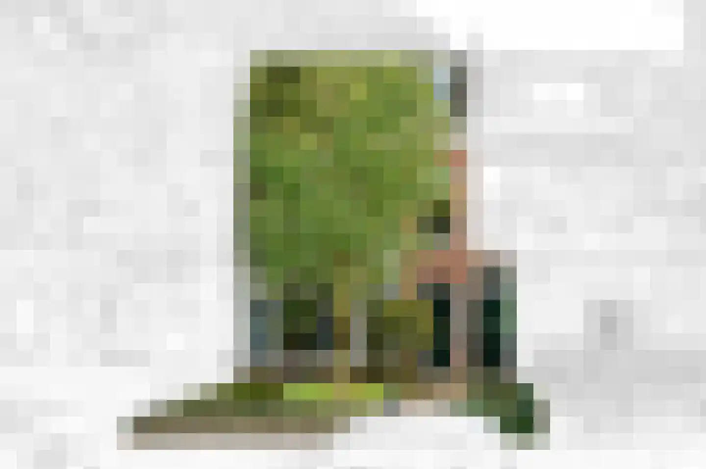Geestbrugweg 26 Rijswijk thumbnail 75