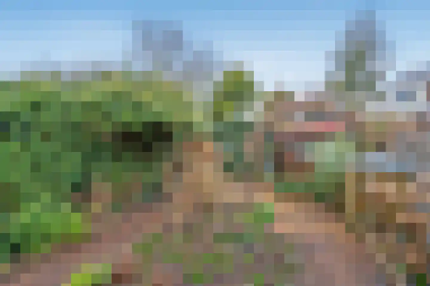 Geestbrugweg 53 Rijswijk thumbnail 20