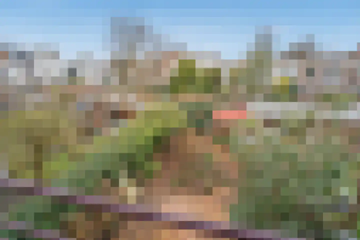 Geestbrugweg 53 Rijswijk thumbnail 33