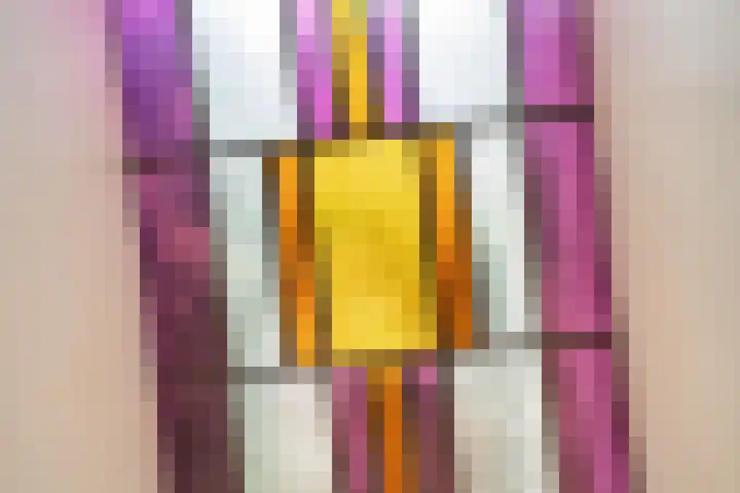 Geestbrugweg 53 Rijswijk thumbnail 8