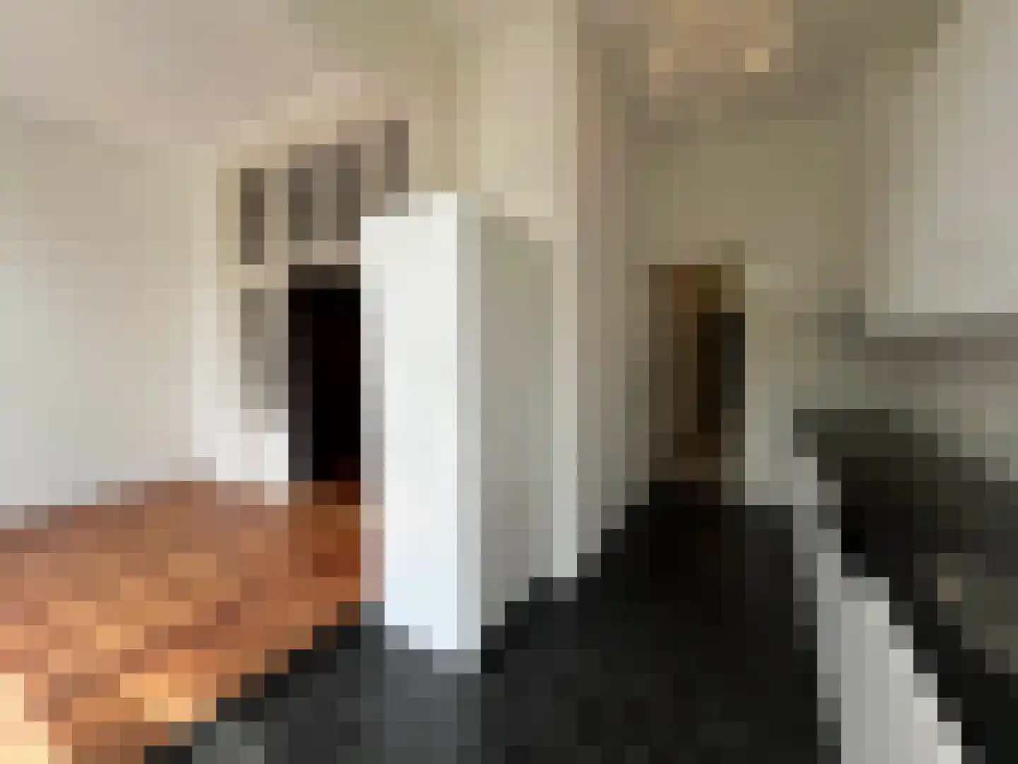 Geestbrugweg 64 Rijswijk thumbnail 10