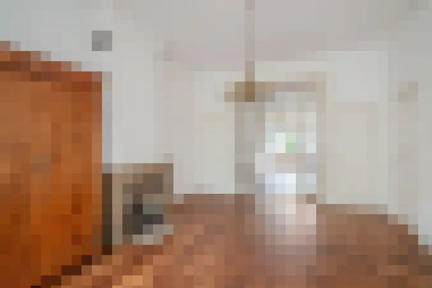 Geestbrugweg 64 Rijswijk thumbnail 15