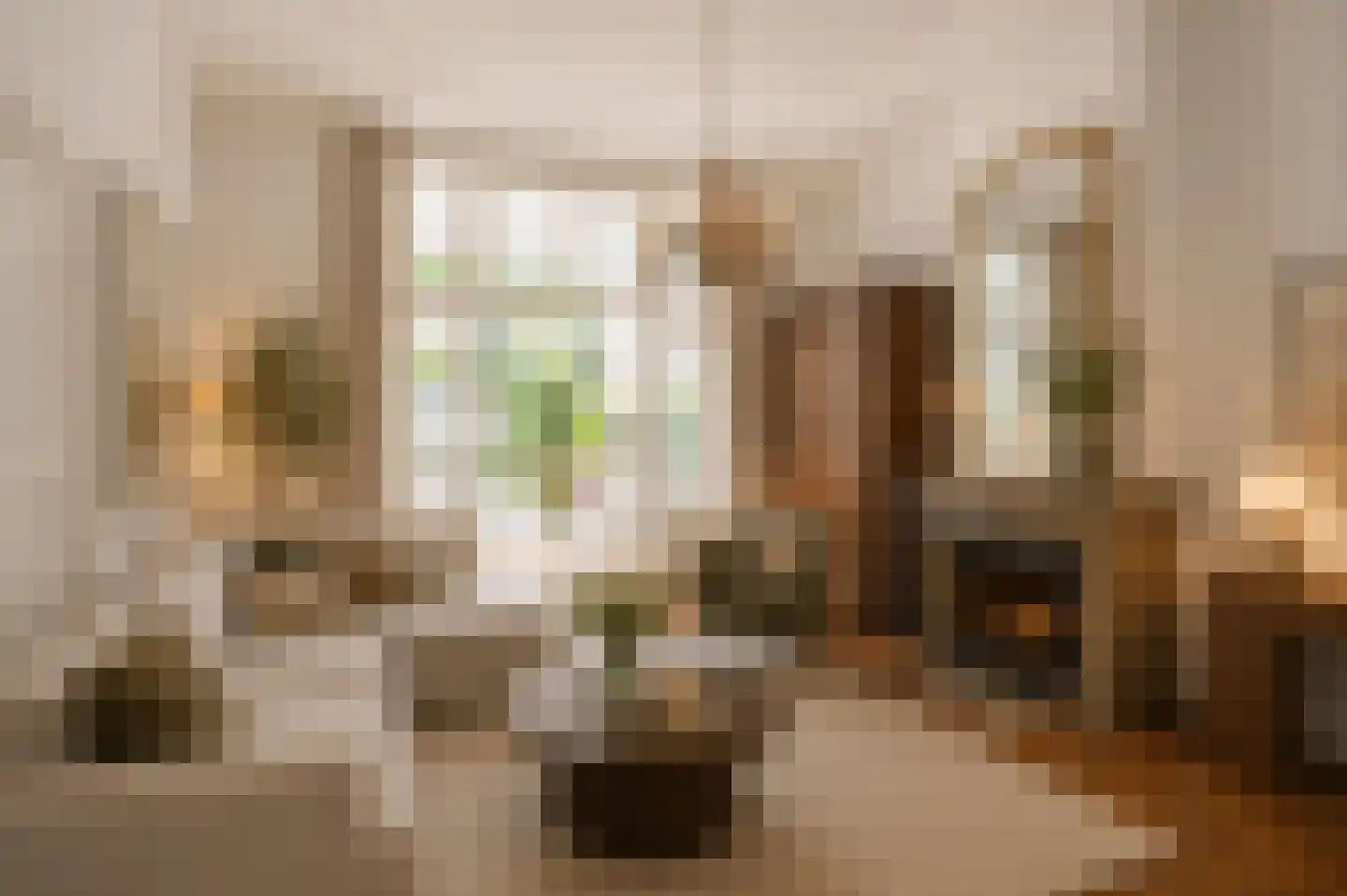Geestbrugweg 64 Rijswijk thumbnail 19