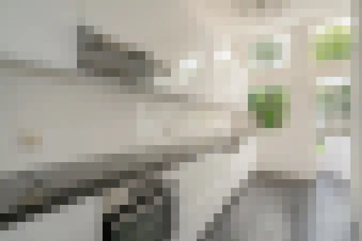 Geestbrugweg 64 Rijswijk thumbnail 24