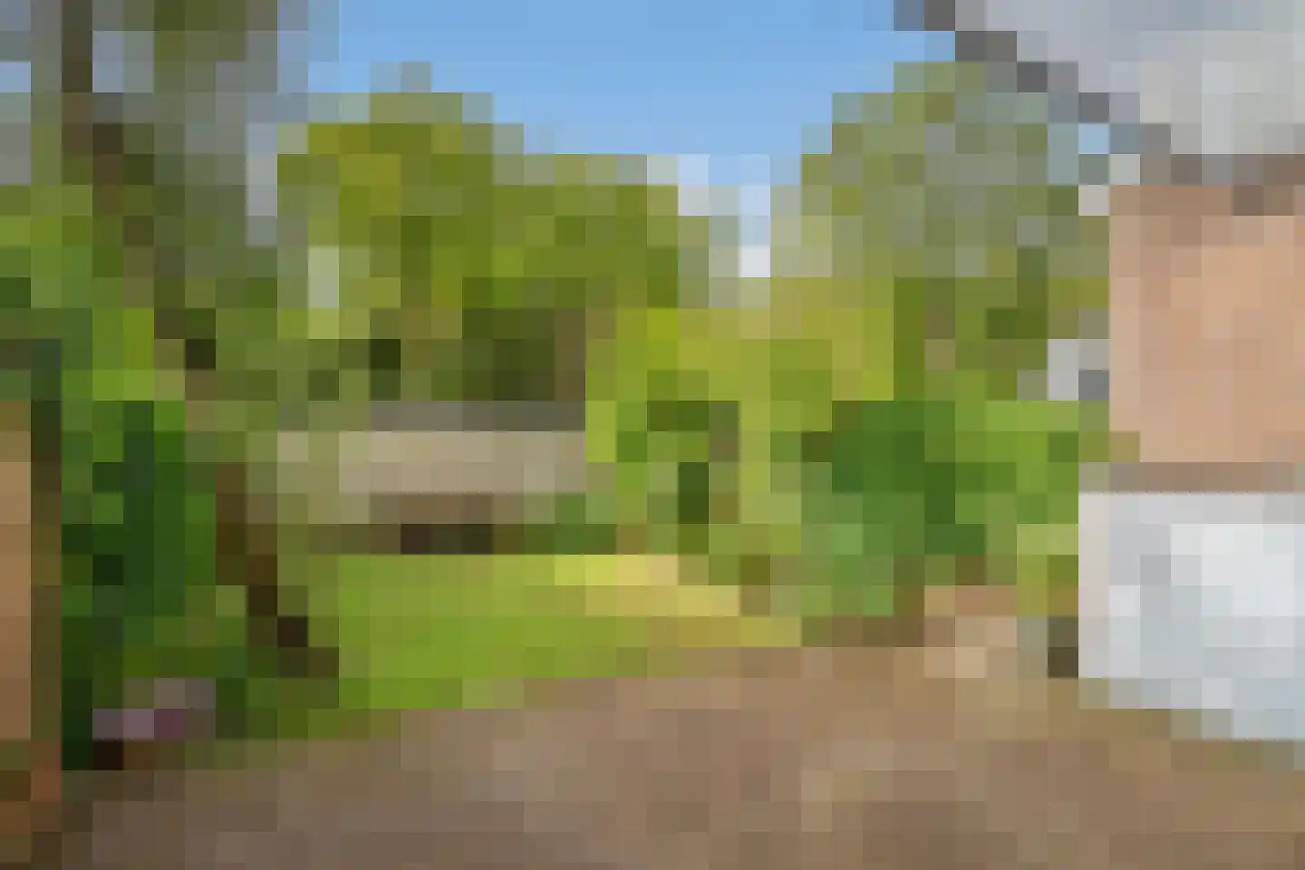 Geestbrugweg 64 Rijswijk thumbnail 26