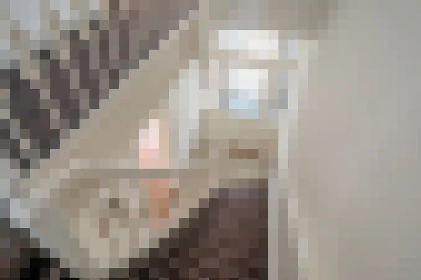 Geestbrugweg 64 Rijswijk thumbnail 28