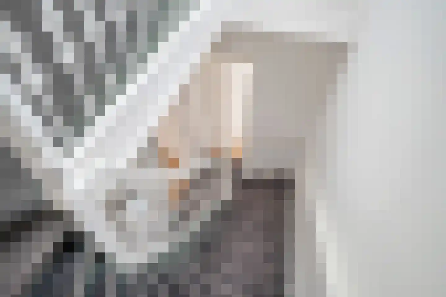 Geestbrugweg 64 Rijswijk thumbnail 43