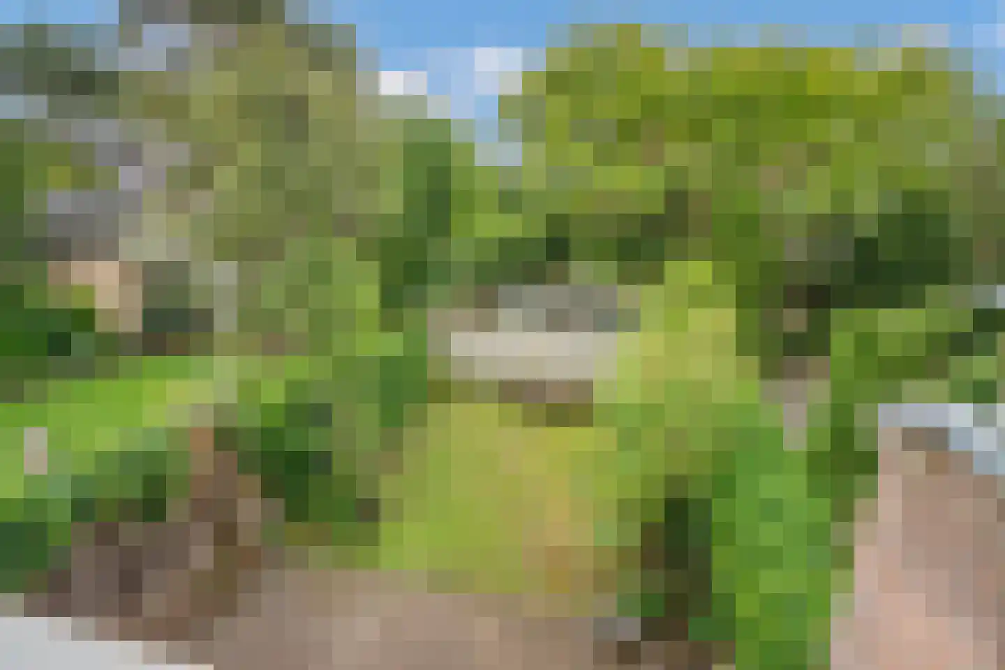 Geestbrugweg 64 Rijswijk thumbnail 49