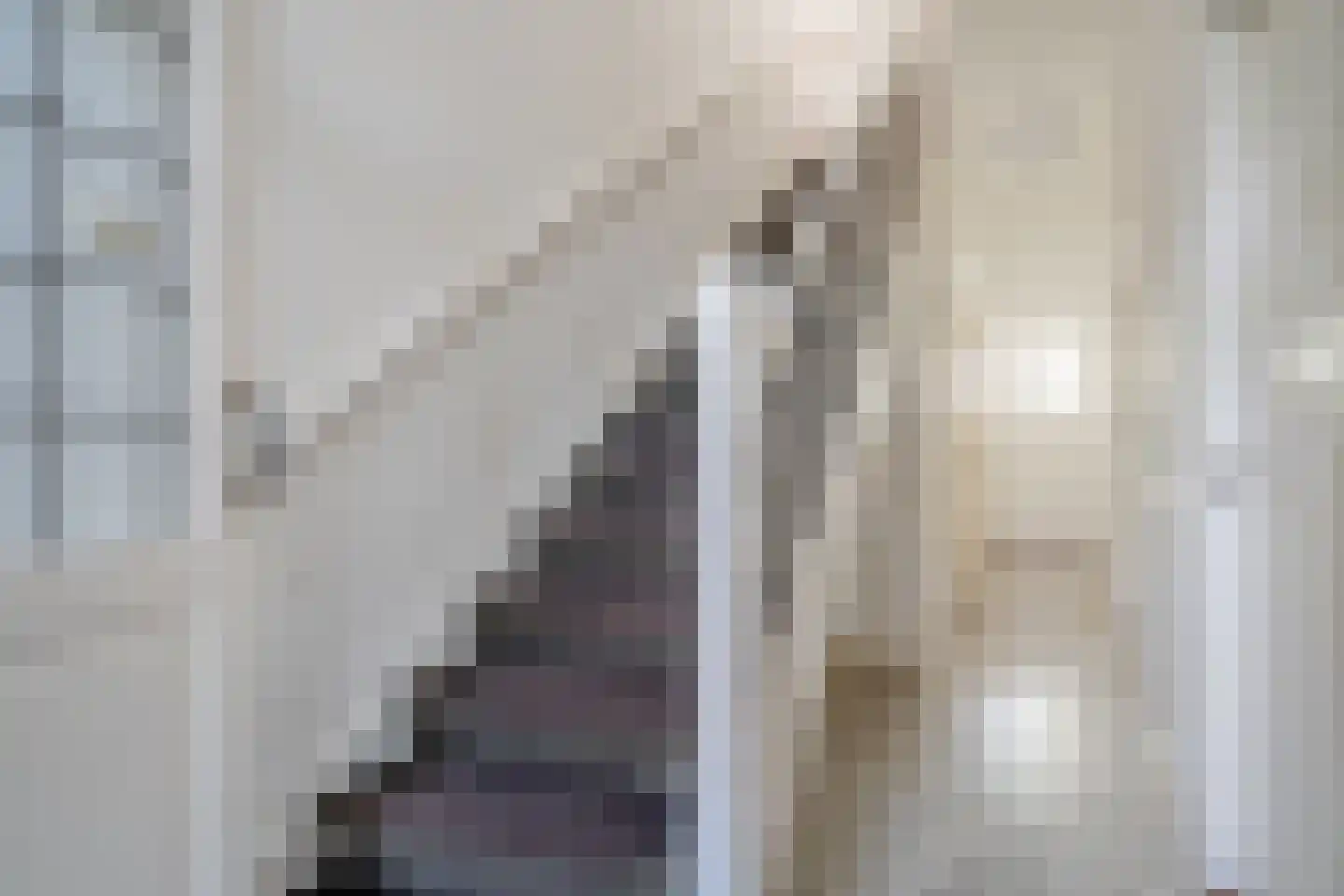 Geestbrugweg 64 Rijswijk thumbnail 6