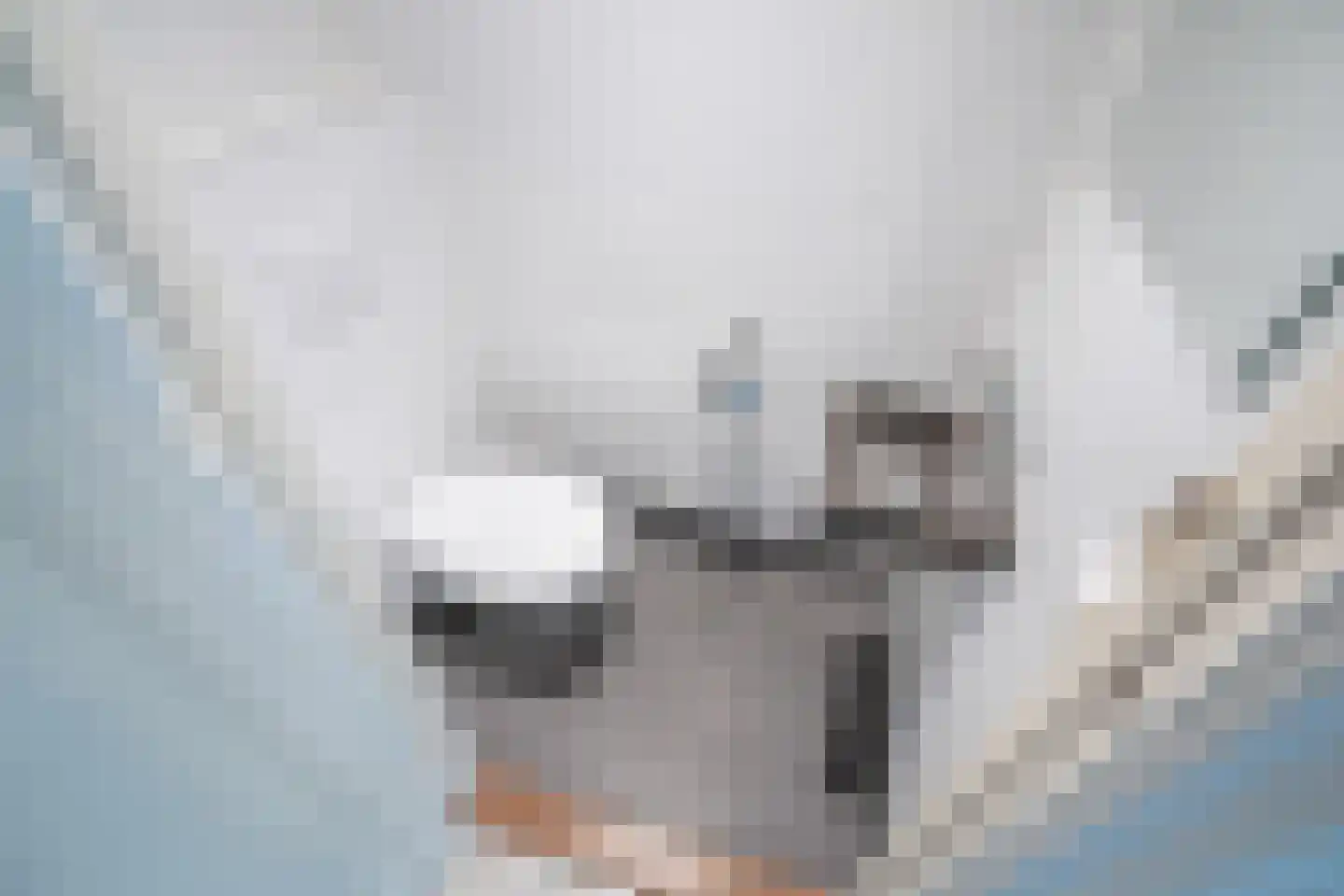 Geestbrugweg 64 Rijswijk thumbnail 7