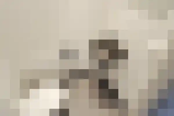 Geestbrugweg 64 Rijswijk thumbnail 8
