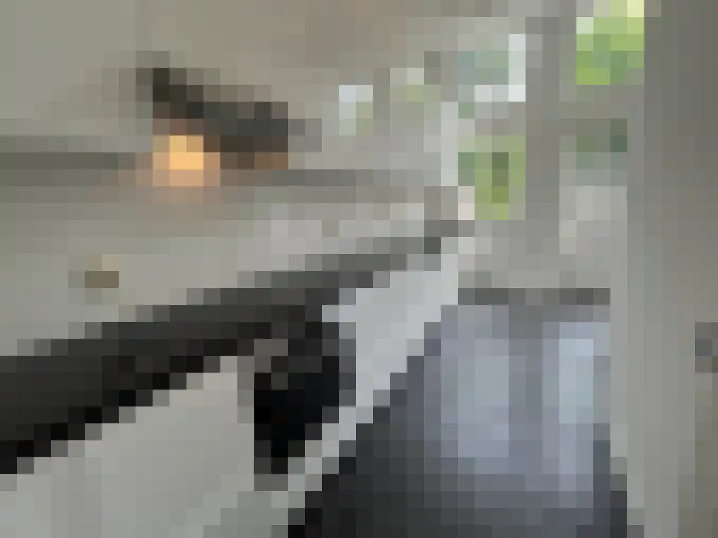 Geestbrugweg 64 Rijswijk thumbnail 9