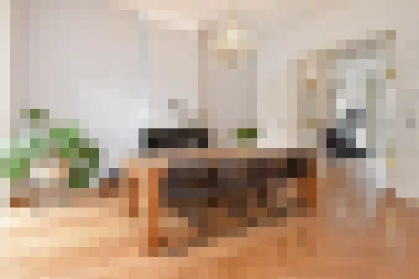 Geestbrugweg 68 Rijswijk thumbnail 20